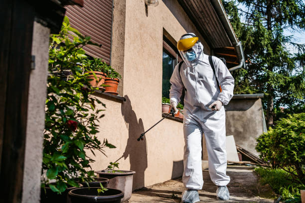 Flea Control Services in Cassville, WV