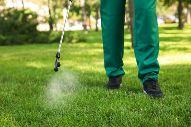 Best Pest Inspection Near Me  in Cassville, WV