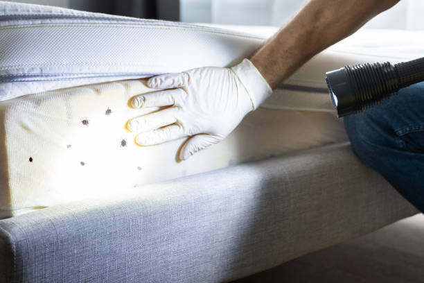 Best Pest Removal Services  in Cassville, WV