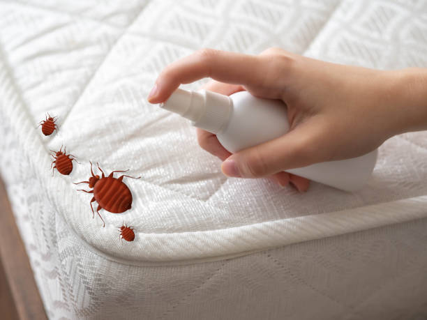Best Affordable Pest Control Services  in Cassville, WV